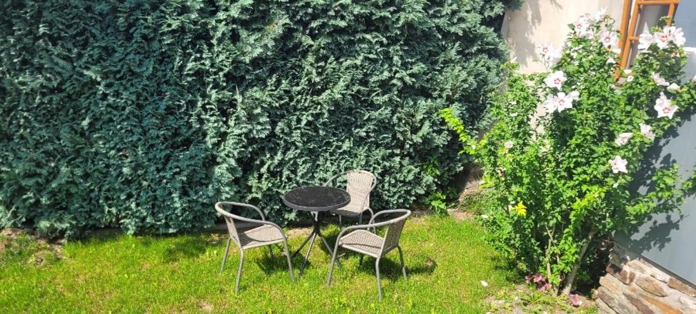 Ferienwohnung Eg Frauenmarkt 1 Шнееберг Екстериор снимка